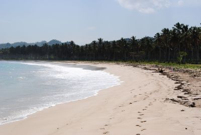 Rincon Beach Las Galeras Samana